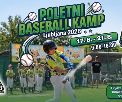 baseball kamp grafika horizontal